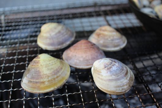 18年 千葉県富津海岸 潮干狩り あさり ハマグリがメッチャ採れる 採れたハマグリをバーベキューで食べたら最高に旨かった話 サラリーマンの物欲生活