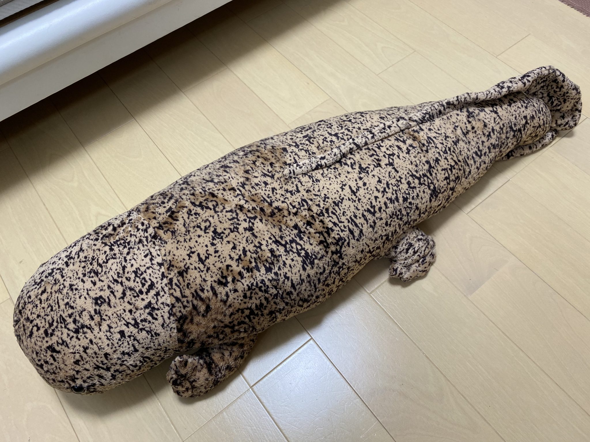 【株主優待 オリックス】オオサンショウウオのぬいぐるみをゲット!可愛すぎる♪ - IMG 8227 2048x1536